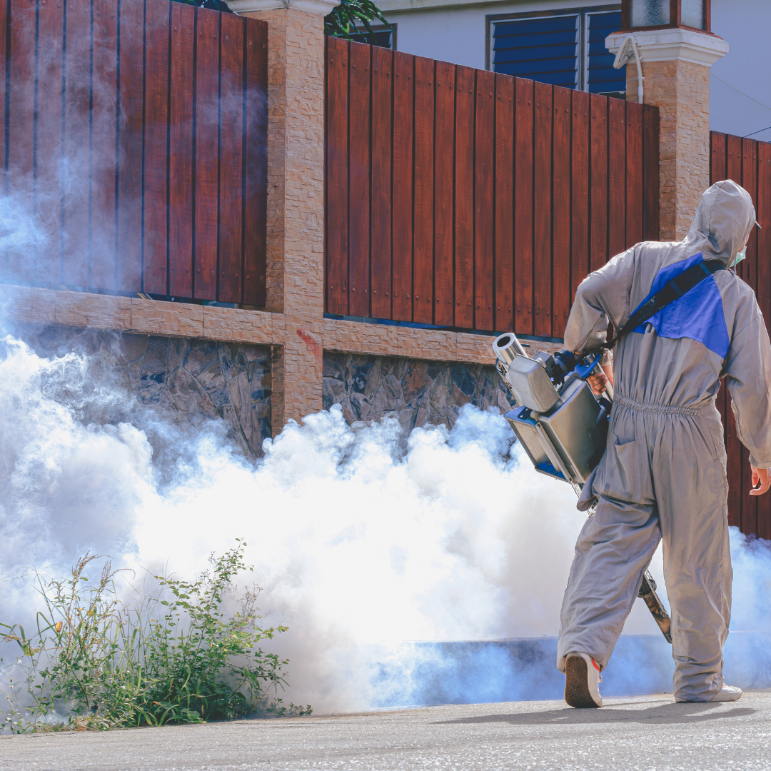Servicio de Fumigación en Guadalajara